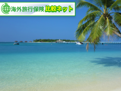 海外旅行 2025