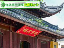 夏 海外旅行 保険