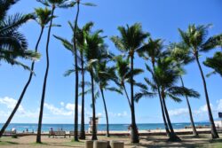 海外旅行 為替、円高