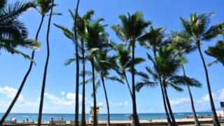海外旅行 為替、円高