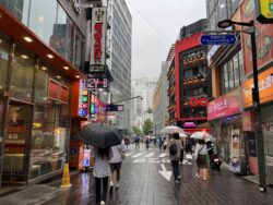 韓国 海外旅行保険 必要性