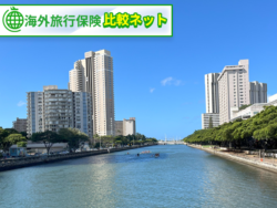 海外旅行保険 2025、夏休み 海外旅行 保険、海外保険 比較 最新
