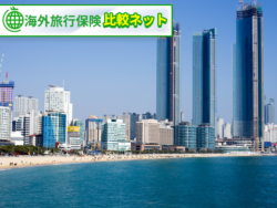 海外旅行保険 おすすめ