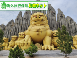 海外旅行保険 選び方