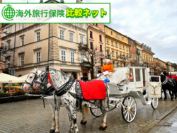 クレカ　利用付帯