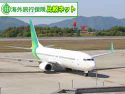 海外旅行保険 飛行機遅延 補償