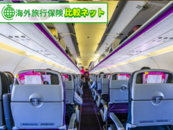 LCC 海外旅行保険
