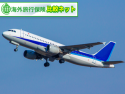 海外旅行保険 トレンド 2025