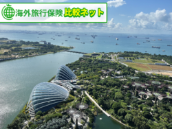 海外旅行保険 年複数回 短期 （代替候補：海外旅行保険 リピーター 年間）
