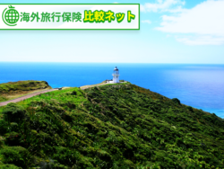 海外旅行保険